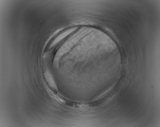 X0000080750395200701122008