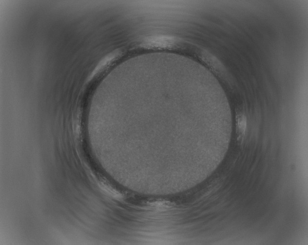 X0000080750396200701122008