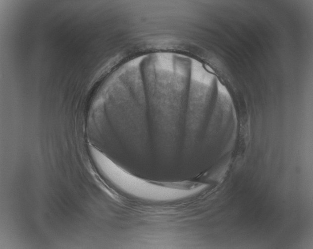 X0000080750397200701122008