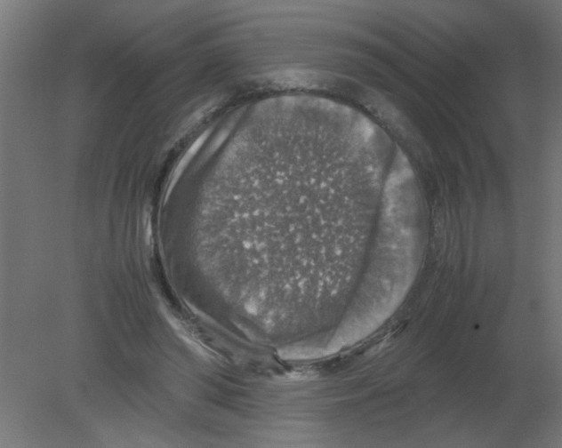 X0000080750398200701122008