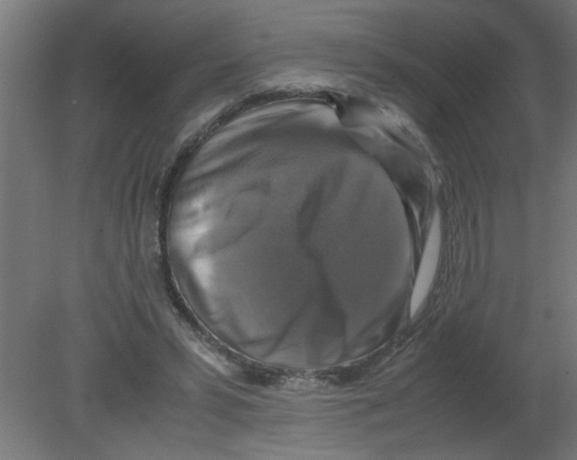 X0000080750399200701122008