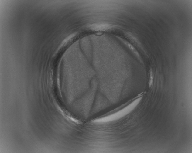 X0000080750400200701122008