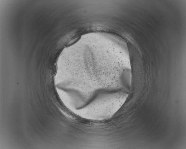 X0000080750401200701122008