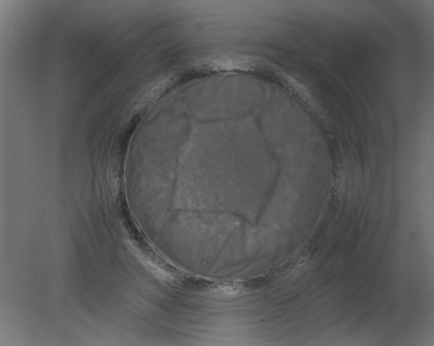 X0000080750402200701122008