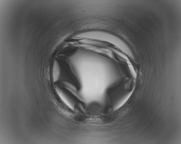 X0000080750403200701122008