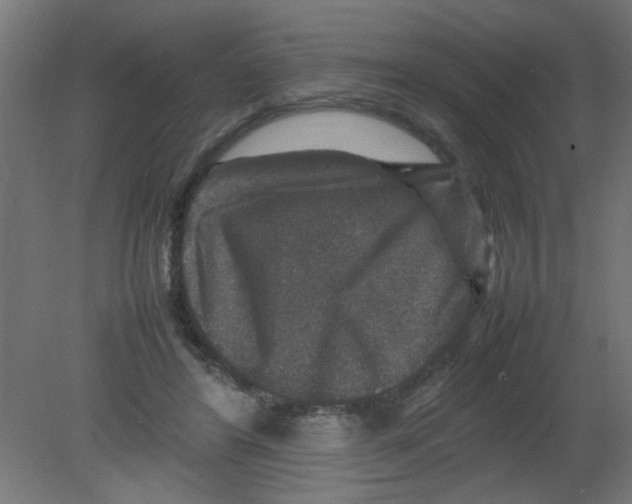 X0000080750404200701122008