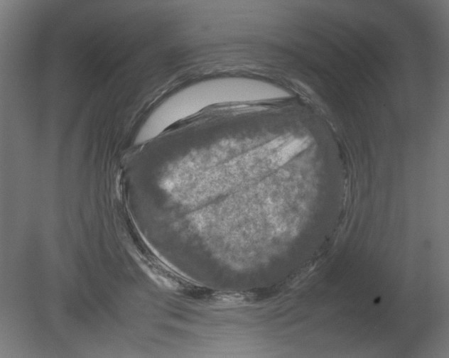 X0000080750405200701122008