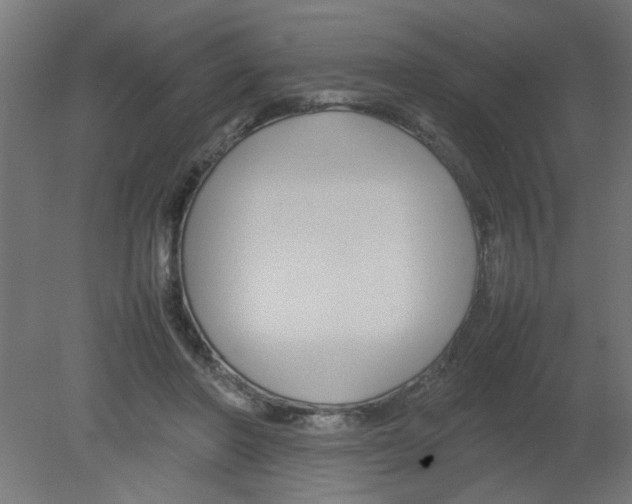 X0000080750406200701122008