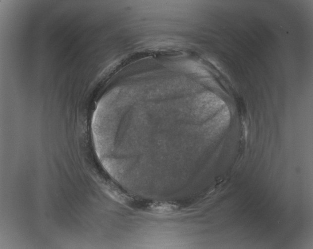 X0000080750407200701122008