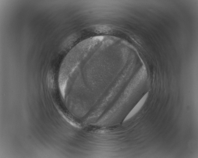 X0000080750408200701122008