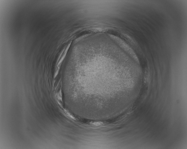 X0000080750409200701122008