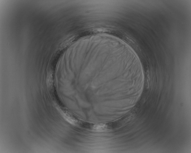 X0000080750410200701122008