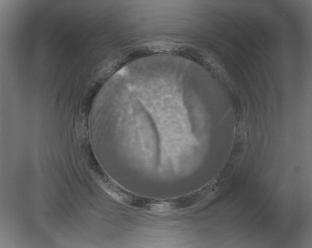 X0000080750411200701122008