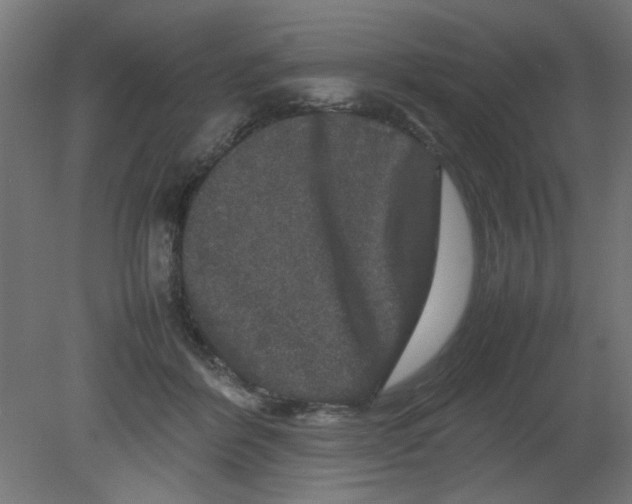 X0000080750412200701122008