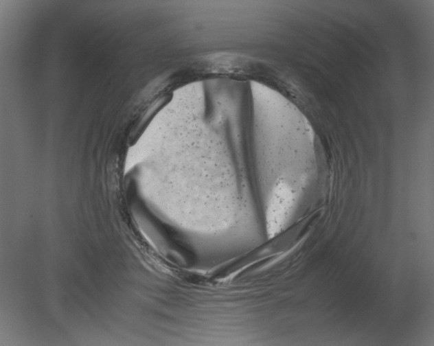 X0000080750413200701122008