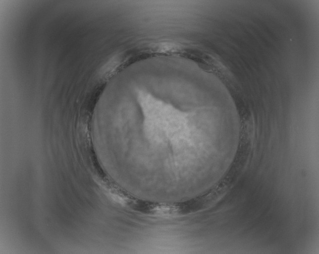 X0000080750415200701122008