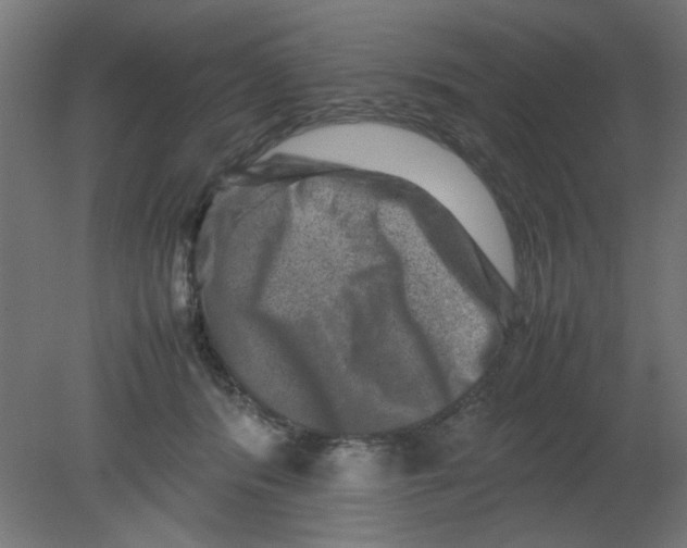 X0000080750416200701122008