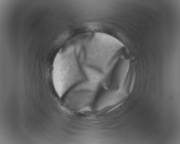 X0000080750417200701122008