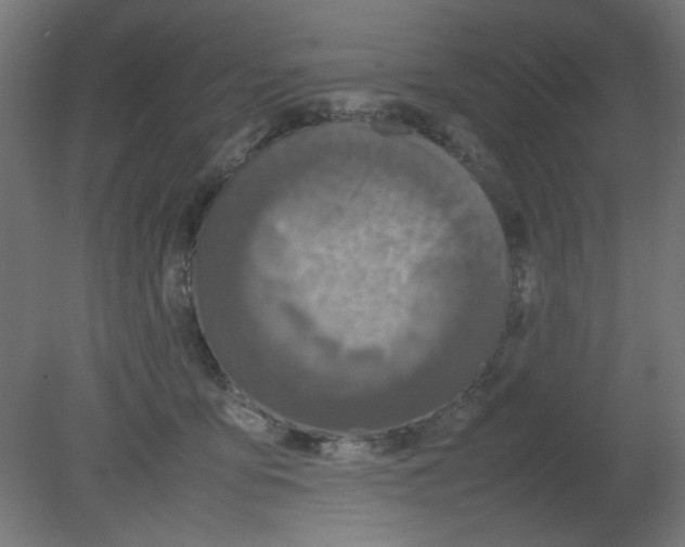 X0000080750419200701122008