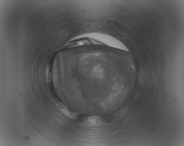 X0000080750420200701122008