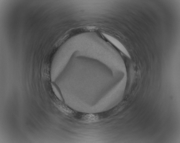 X0000080750421200701122008