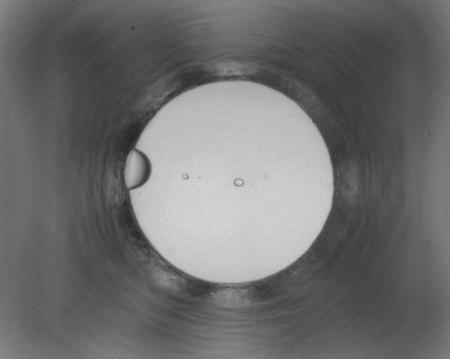 X0000080750422200701122008