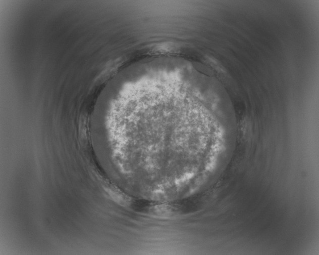 X0000080750423200701122008