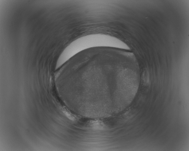 X0000080750424200701122008