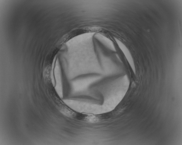 X0000080750425200701122008