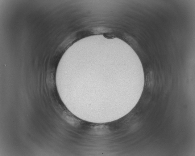 X0000080750426200701122008