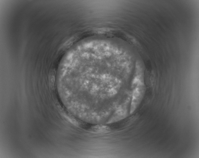 X0000080750427200701122008