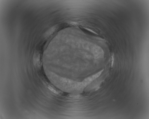 X0000080750428200701122008