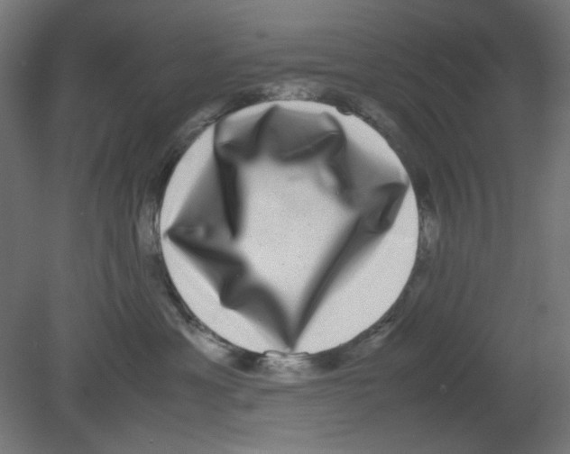 X0000080750429200701122008