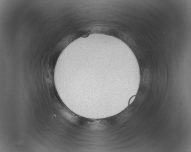 X0000080750430200701122008