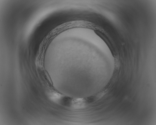 X0000080750431200701122008