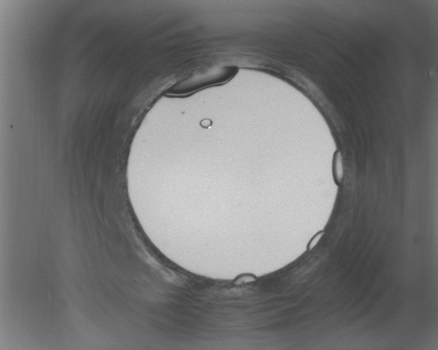 X0000080750433200701122007