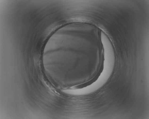 X0000080750434200701122007