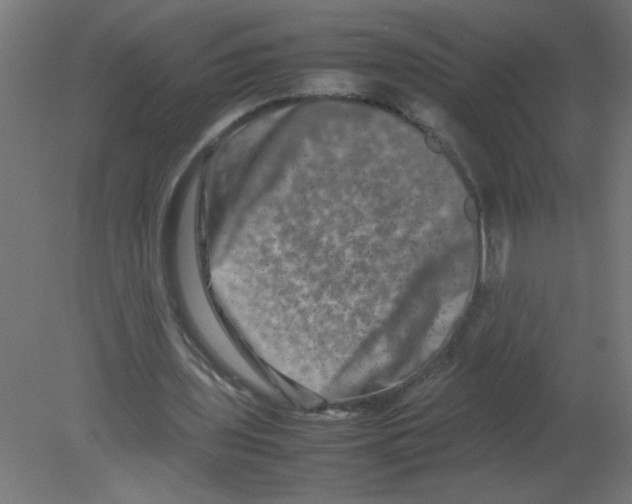 X0000080750435200701122007