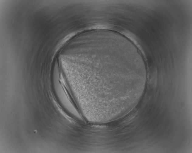 X0000080750437200701122007