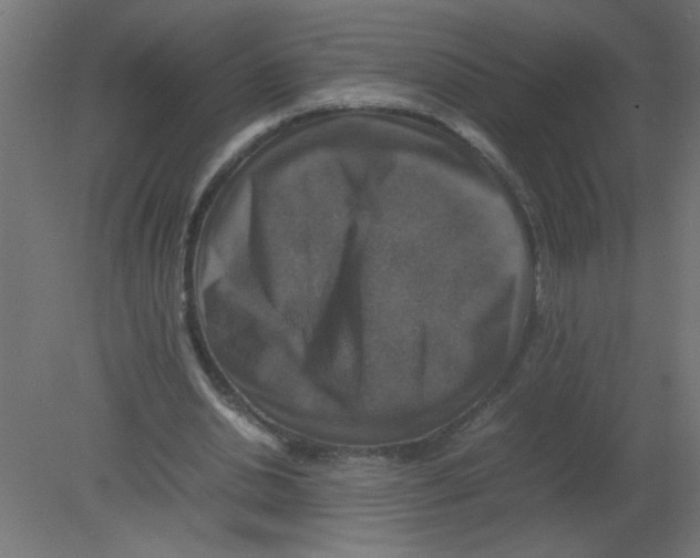 X0000080750438200701122007