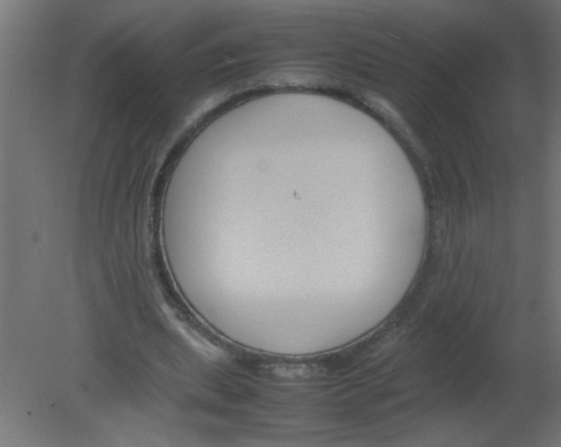 X0000080750439200701122007