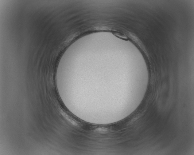 X0000080750441200701122007