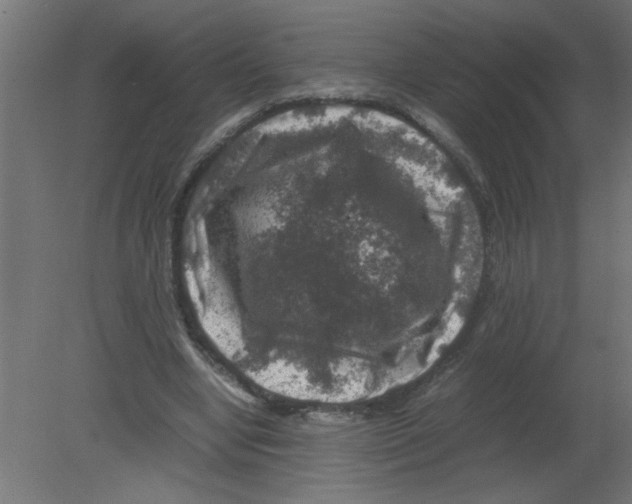 X0000080750442200701122007