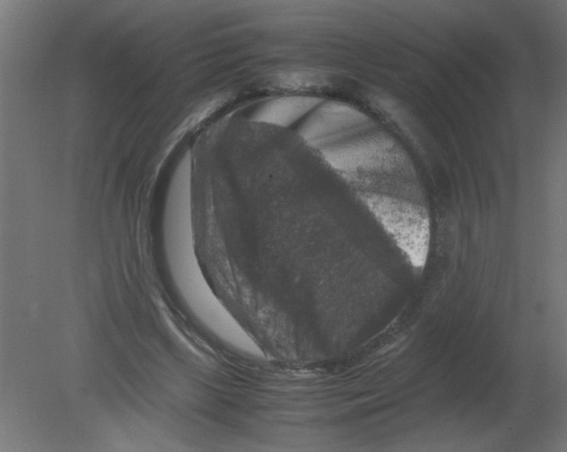 X0000080750443200701122007