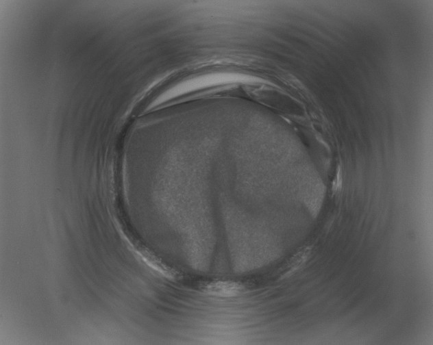 X0000080750444200701122007