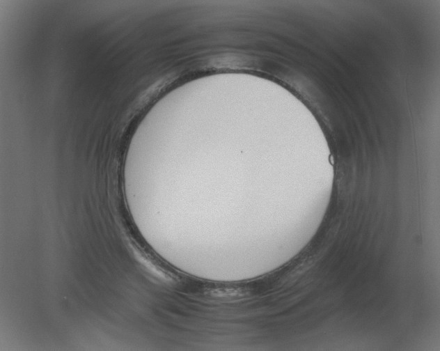 X0000080750445200701122007