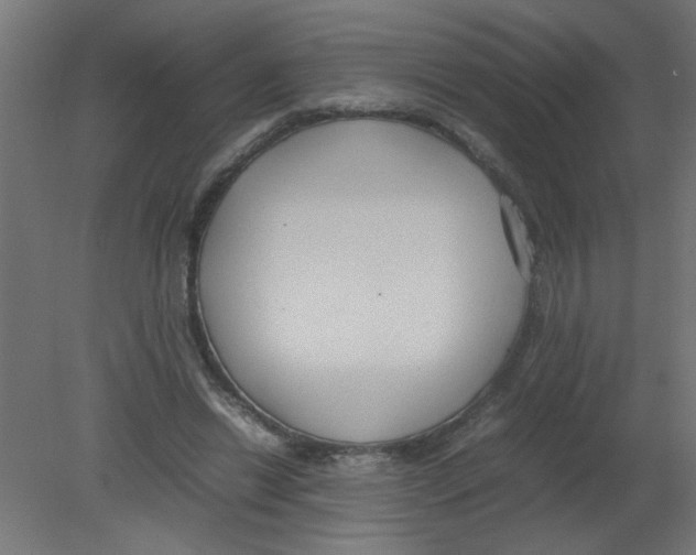 X0000080750446200701122007