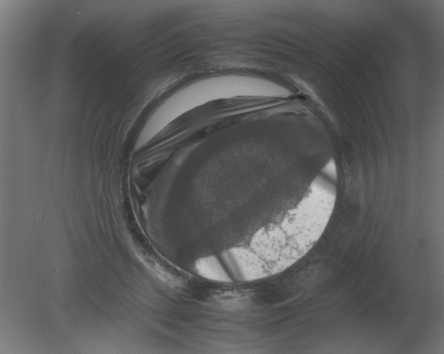 X0000080750447200701122007