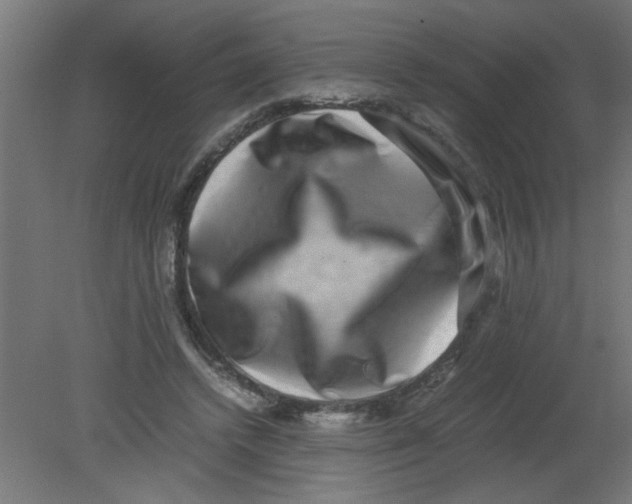 X0000080750448200701122007