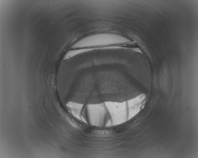 X0000080750449200701122007